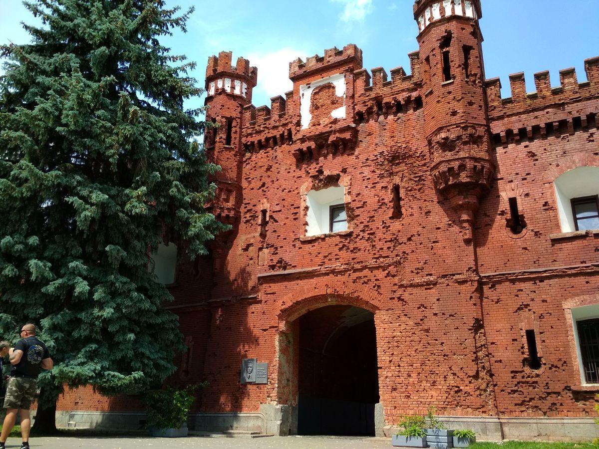 Ворота и башни крепости из красного кирпича рядом с елью