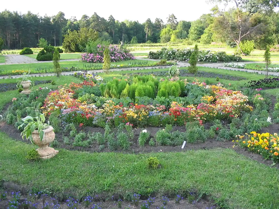 明斯克中央植物園夏季花壇,2004年7月攝影